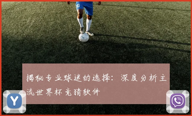 揭秘专业球迷的选择：深度分析主流世界杯竞猜软件