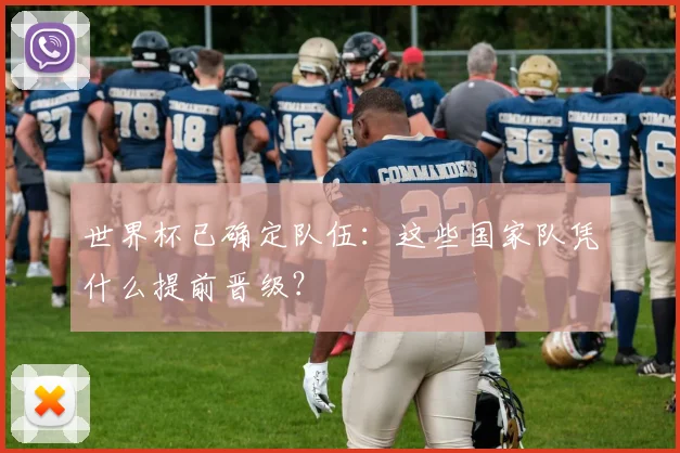 世界杯已确定队伍：这些国家队凭什么提前晋级？