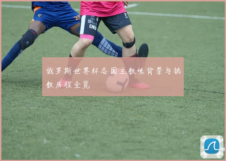 俄罗斯世界杯各国主教练背景与执教历程全览