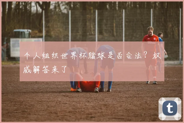 个人组织世界杯赌球是否合法？权威解答来了
