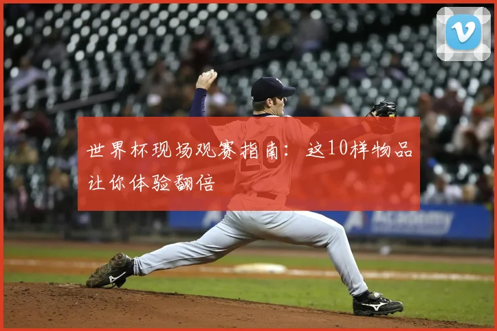 世界杯现场观赛指南：这10样物品让你体验翻倍