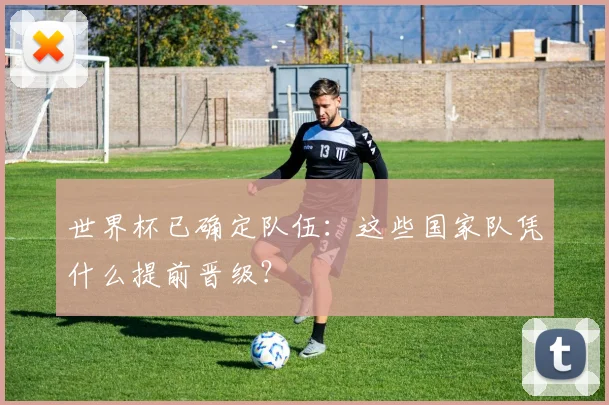 世界杯已确定队伍：这些国家队凭什么提前晋级？