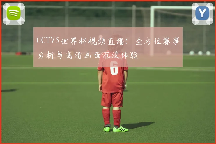 CCTV5世界杯视频直播：全方位赛事分析与高清画面沉浸体验