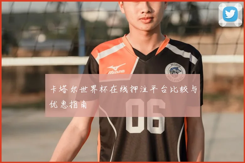 卡塔尔世界杯在线押注平台比较与优惠指南