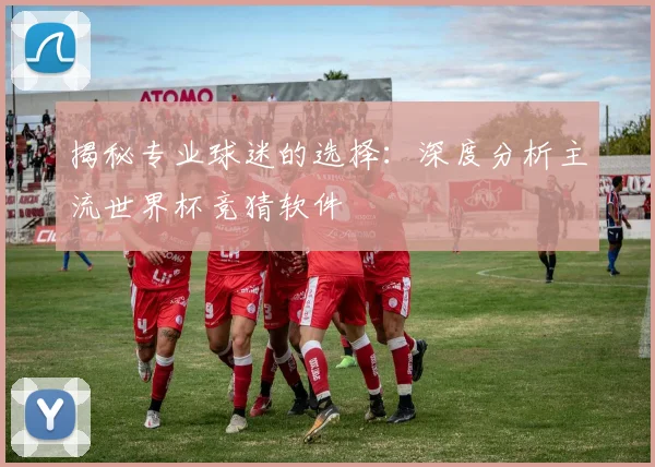 揭秘专业球迷的选择：深度分析主流世界杯竞猜软件
