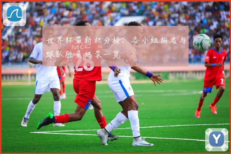 世界杯最新积分榜：各小组排名与球队胜负记录一览