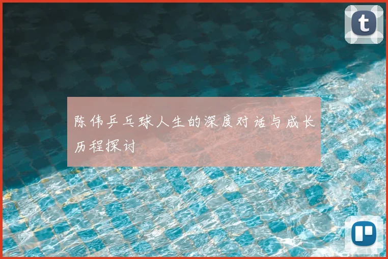 陈伟乒乓球人生的深度对话与成长历程探讨