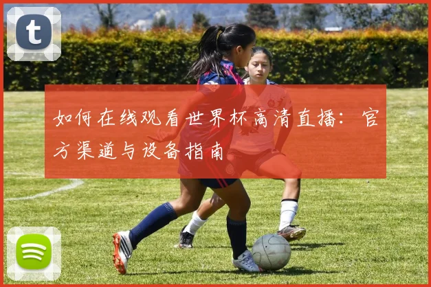 如何在线观看世界杯高清直播：官方渠道与设备指南