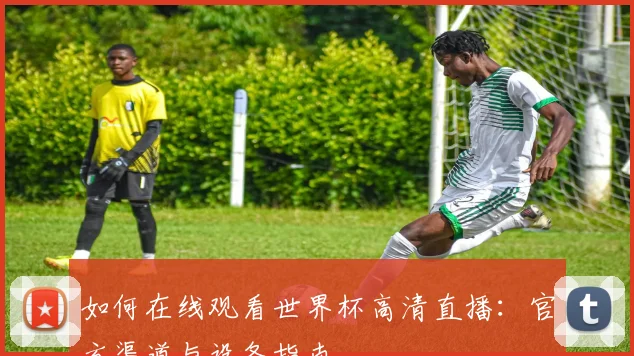 如何在线观看世界杯高清直播：官方渠道与设备指南