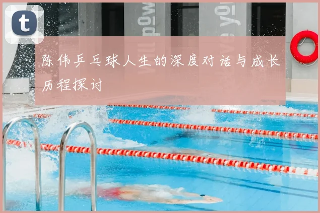 陈伟乒乓球人生的深度对话与成长历程探讨