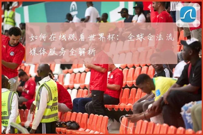 如何在线观看世界杯：全球合法流媒体服务全解析