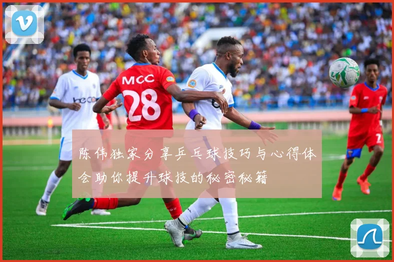 陈伟独家分享乒乓球技巧与心得体会助你提升球技的秘密秘籍