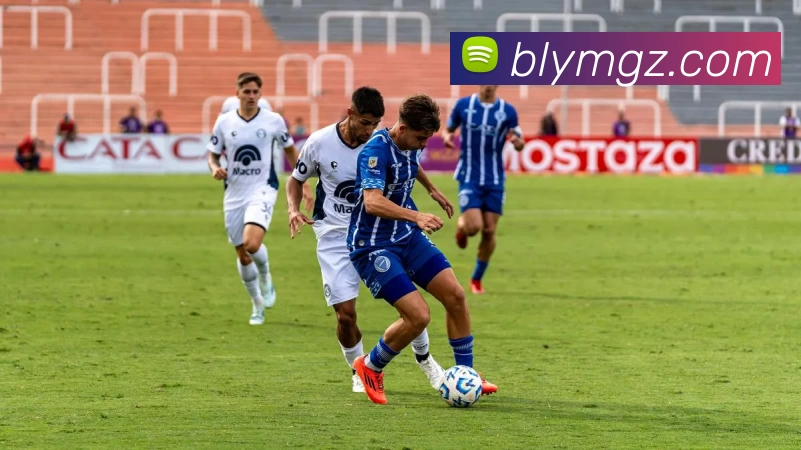 kaiyun平台生态图